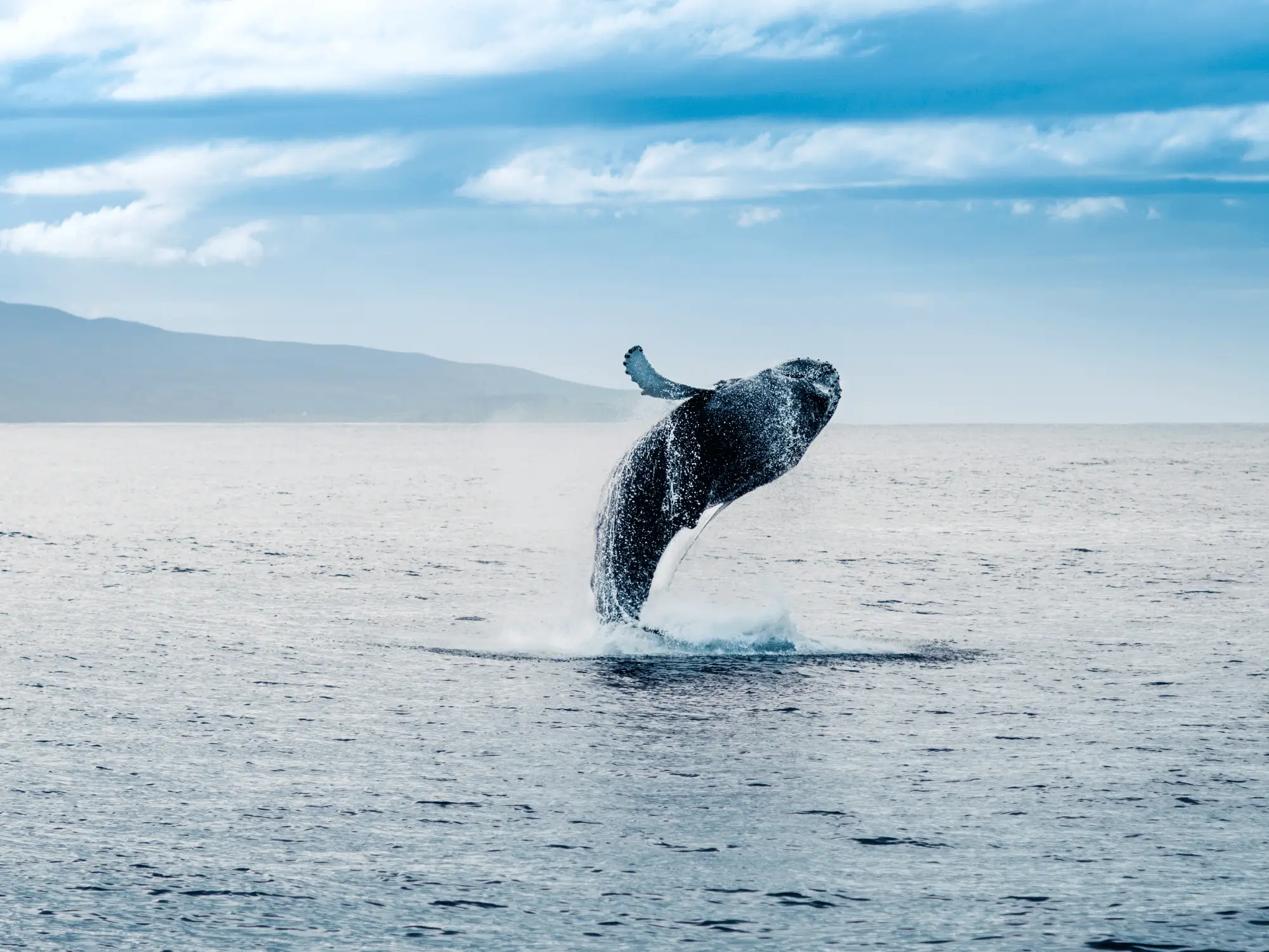 Traveling with Children in Iceland: Top Activities and Tips (2026 update)