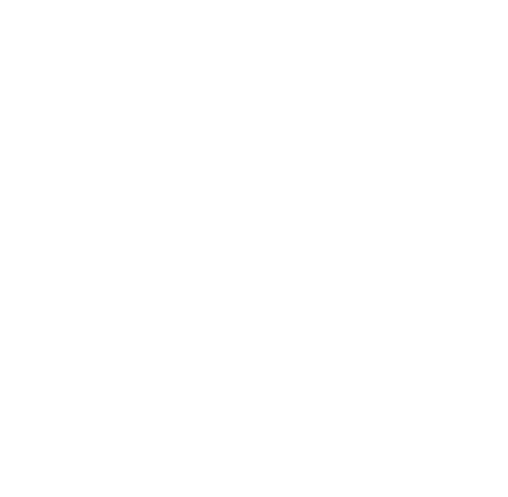VNPF Logo