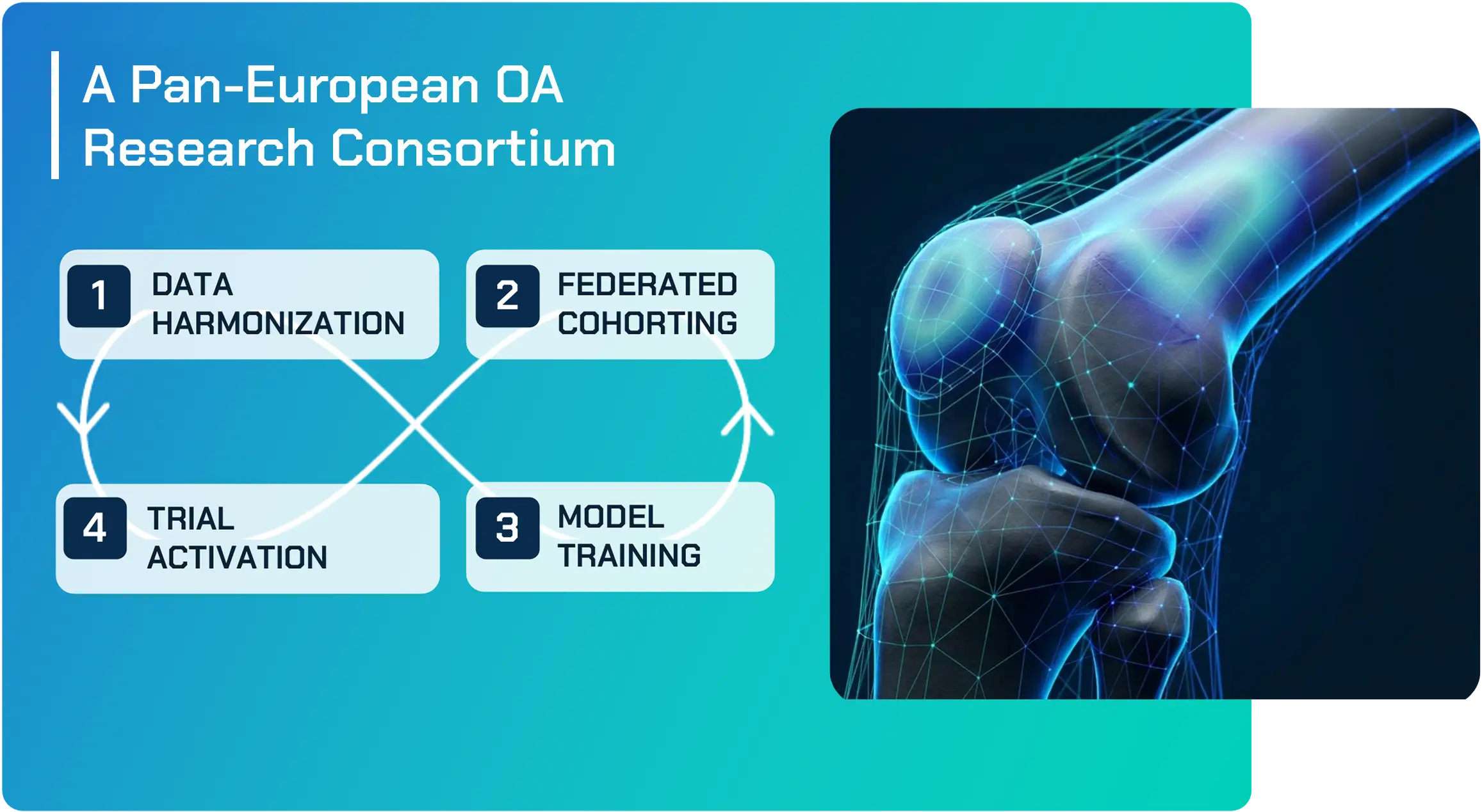 PROBE OA project