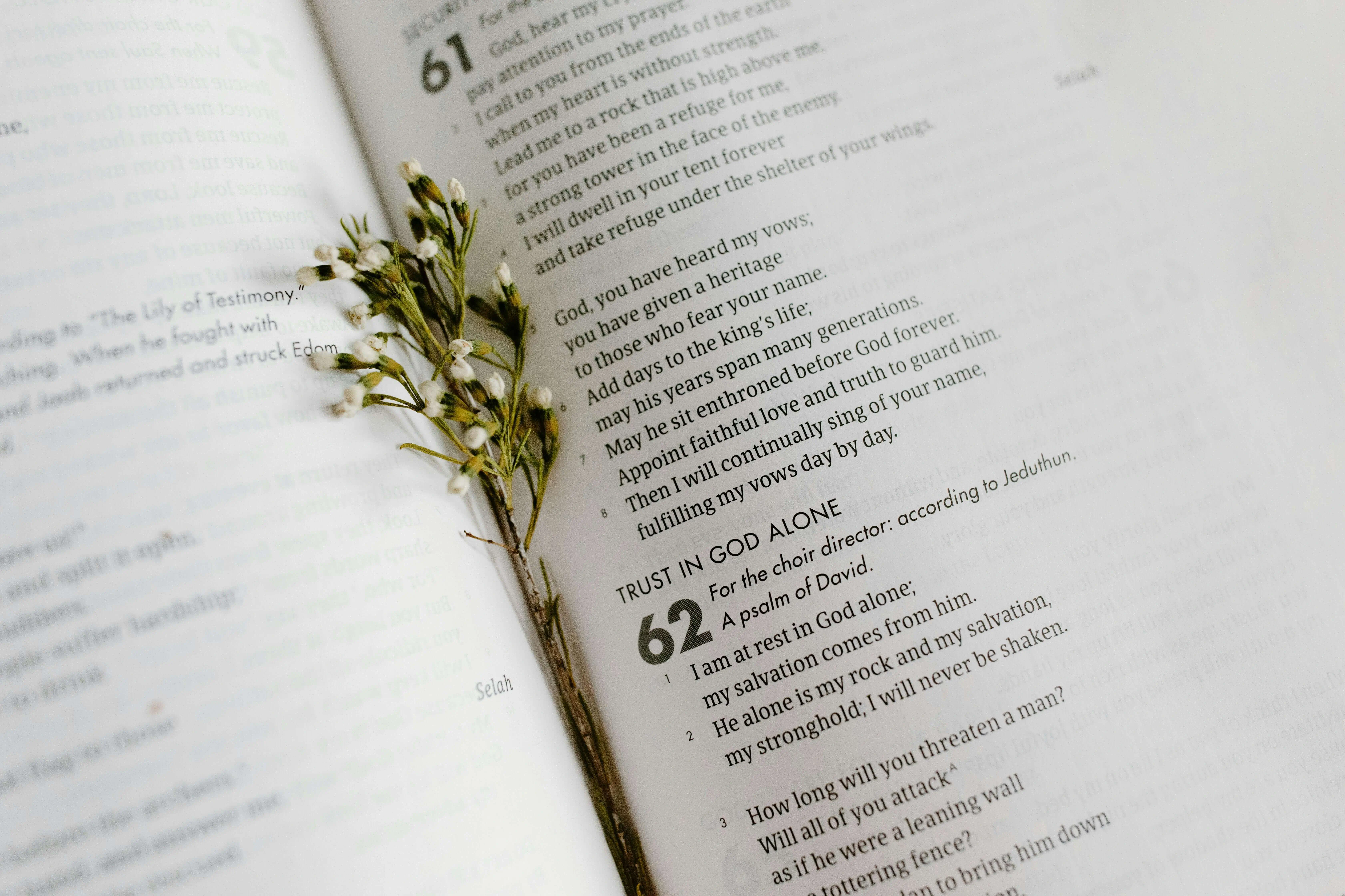 reading the book of Psalms during Traditional Lutheran Services in West Palm Beach
