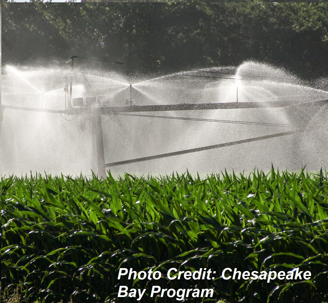 Fields of crops being sprayed with an industrial sprinkler. Photo credit goes to Chesapeake Bay Program