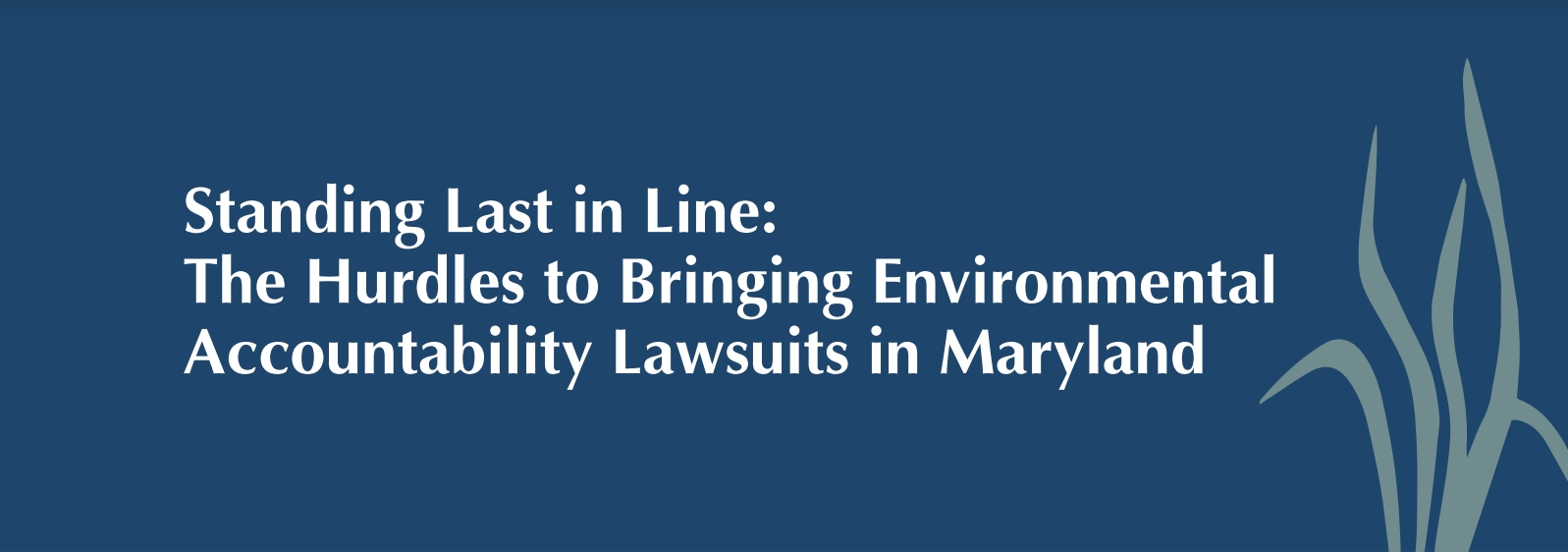 Standing Last in Line: The Hurdles to Bringing Environmental Accountability Lawsuits in Maryland