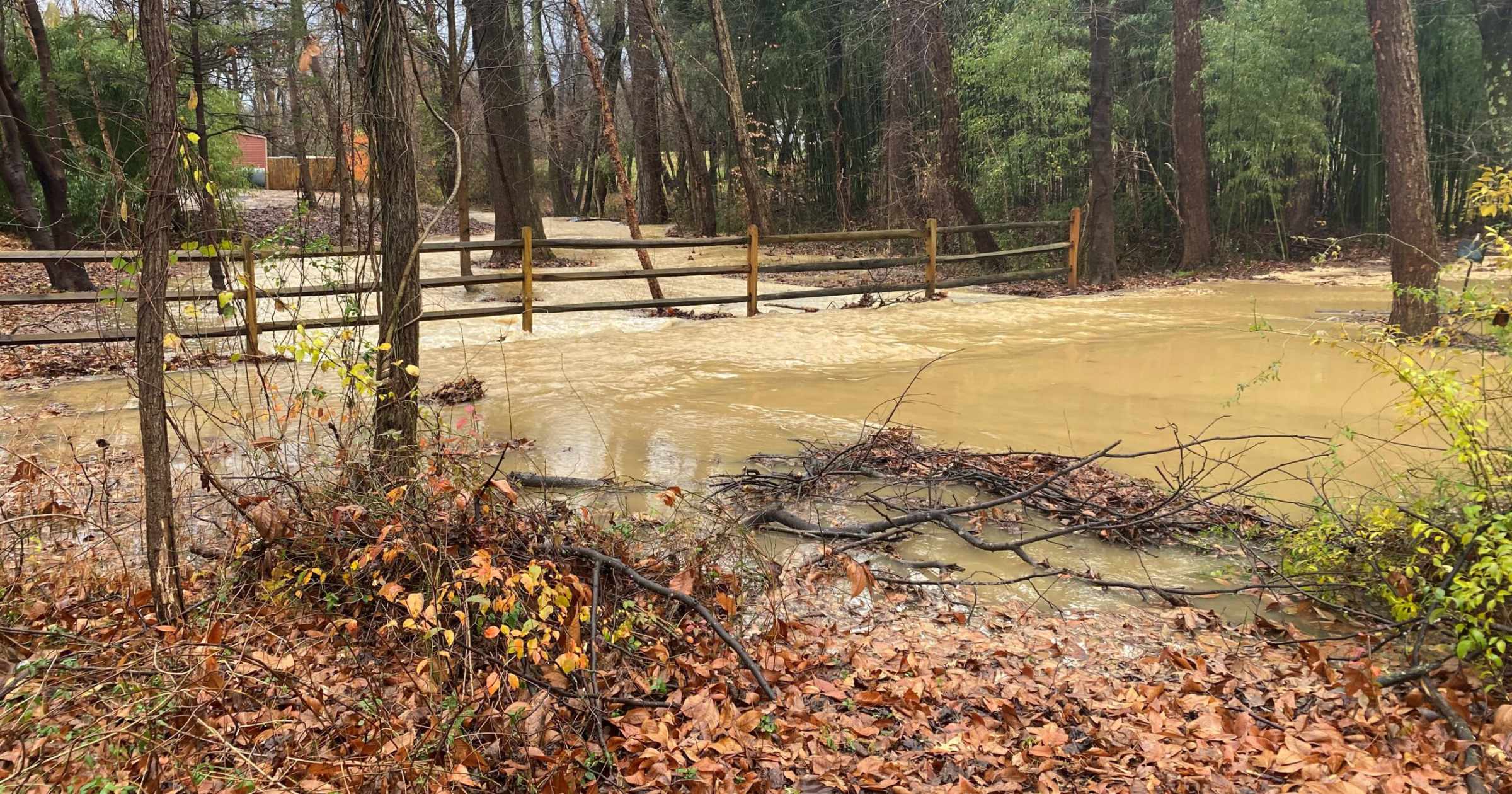 Standing water in a floodplain