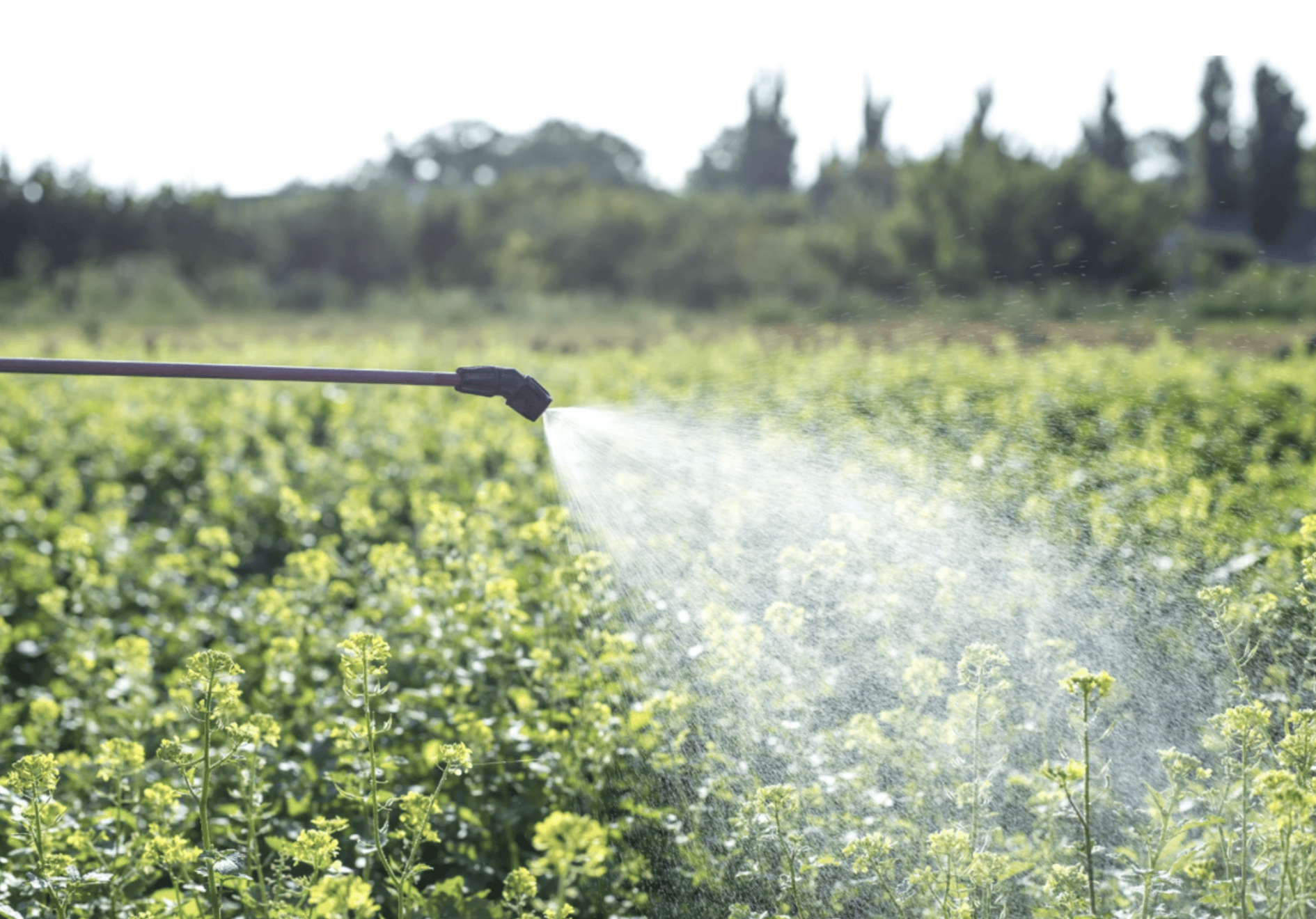 irrigation system contaminated with PFAS