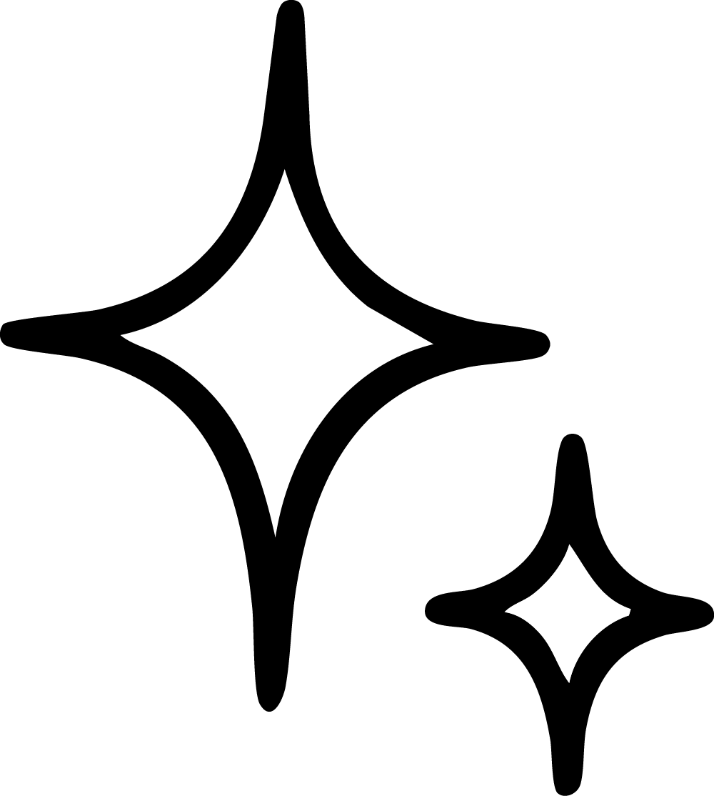 Two black sparkle or sparkle icons with pointed edges on a white background.