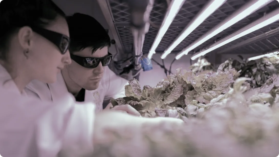 Custom chemistry for agrochemicals