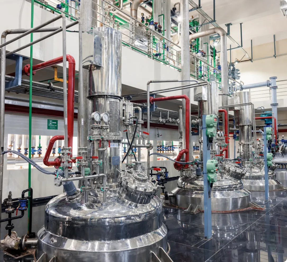 Team of Honour scientists working on high-quality, precise chemistry projects