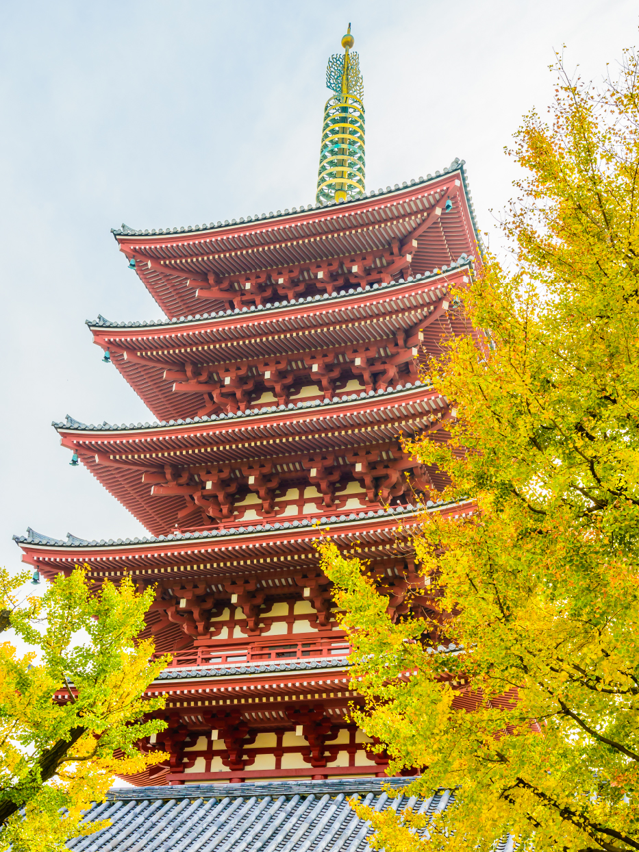 Close-up of a scientist analyzing chemical data
