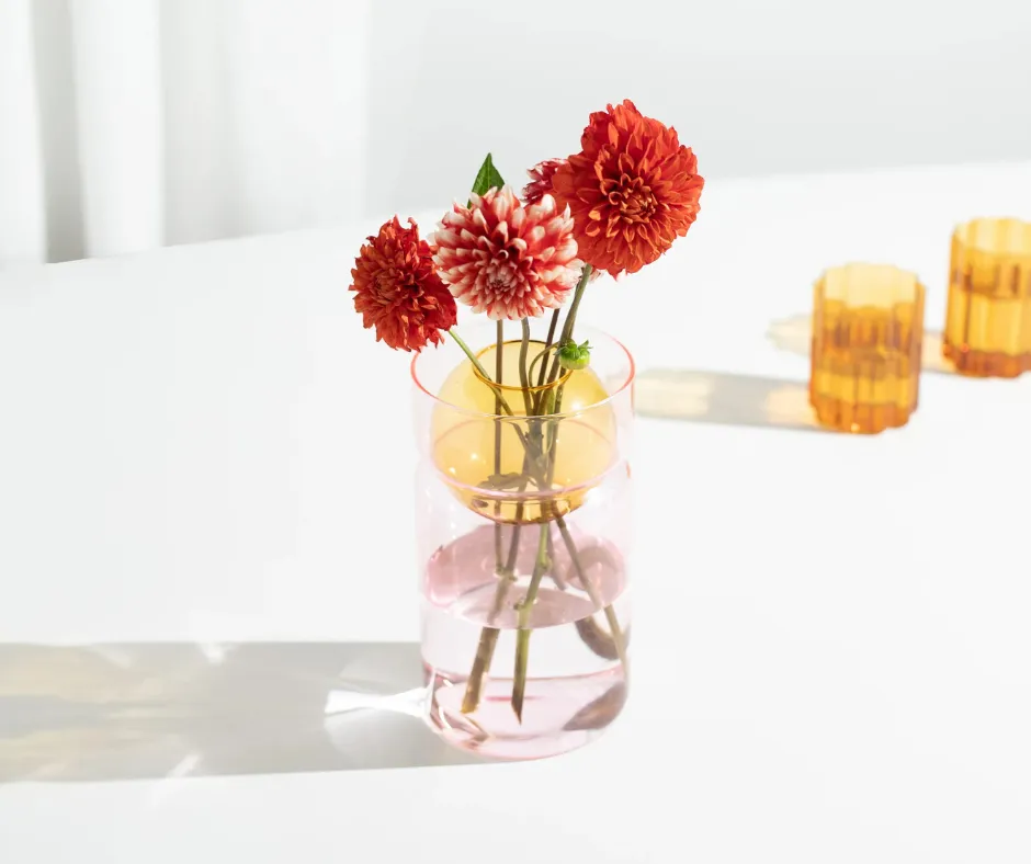 How homewares brand Fazeek brings joy to daily life