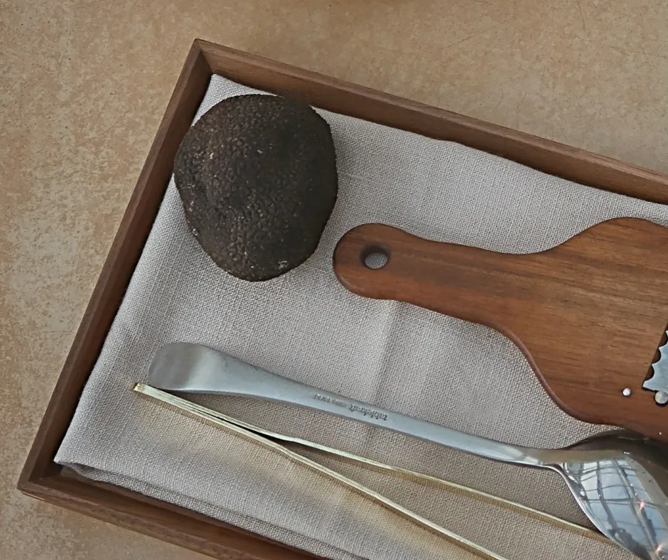 Making the most of winter truffle season: tips from the "truffière"