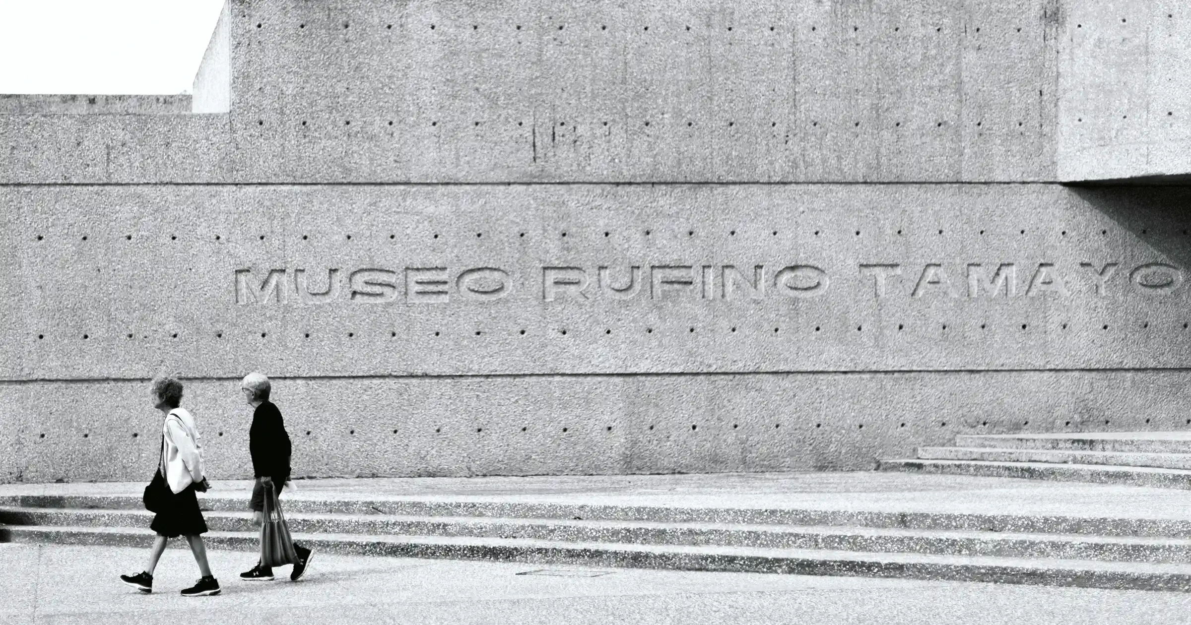 Museos y galerías en CDMX: Un mapa de estética, historia y provocación