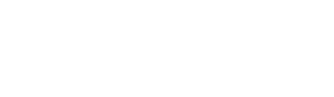 RaceYear logo