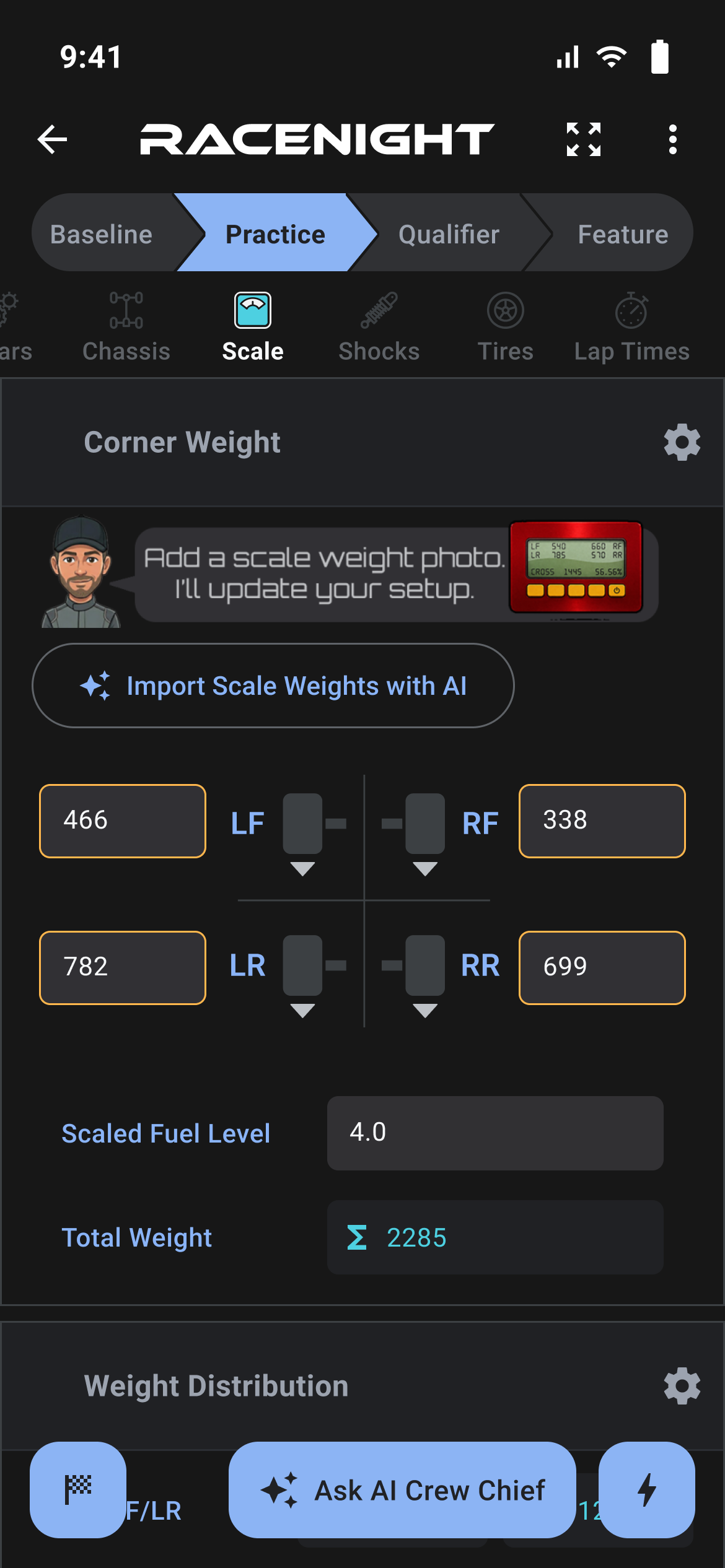 Scale category filled in from a photo of the scales
