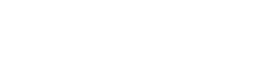 logo visa