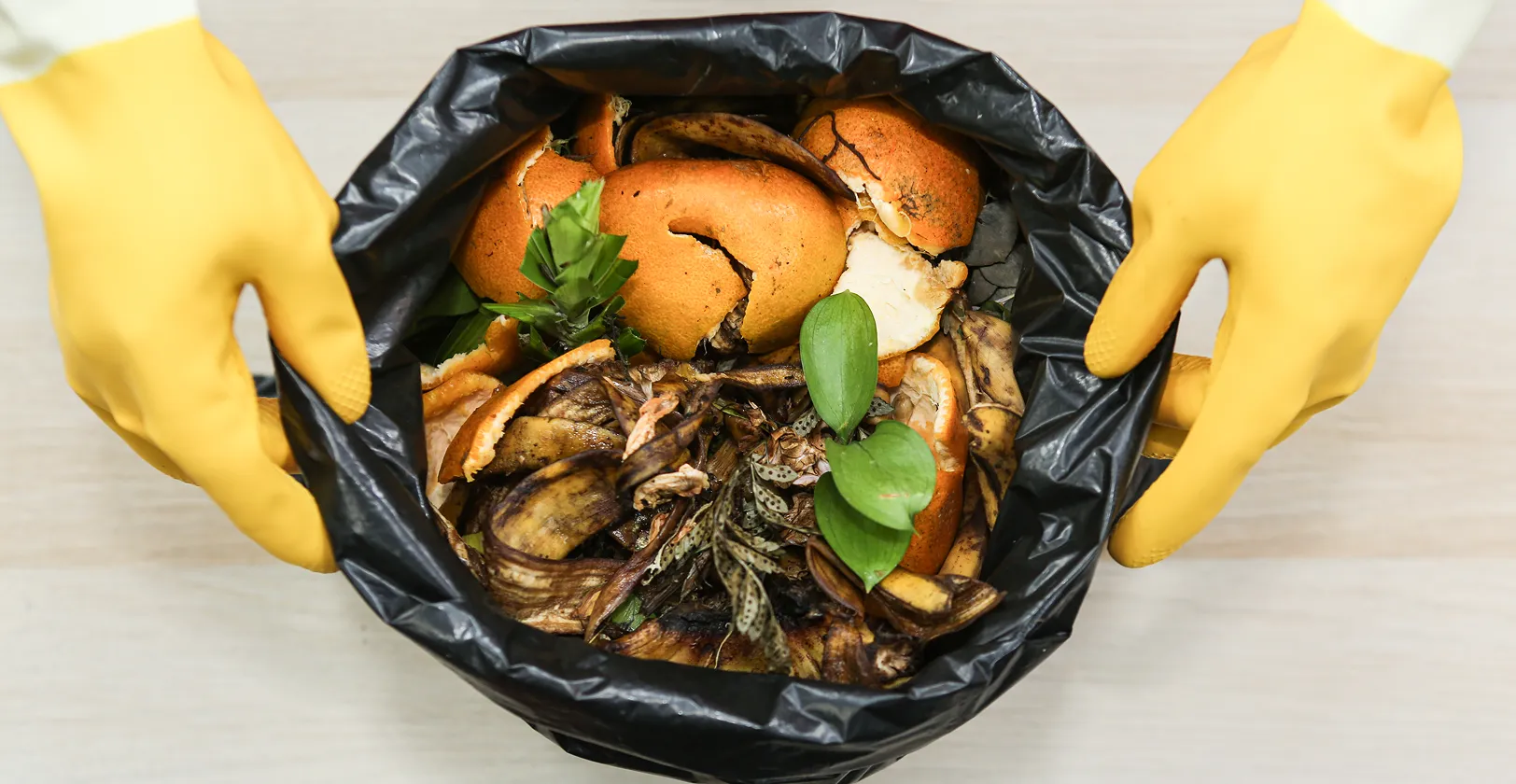 Tangan memakai sarung tangan kuning memegang kantong hitam berisi sisa makanan dan kulit buah.