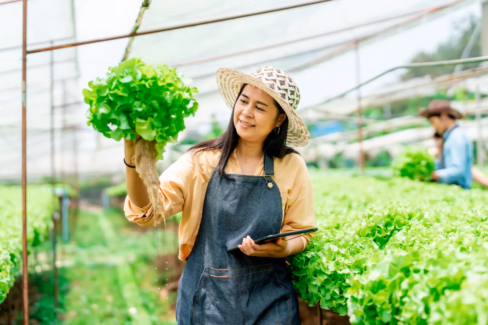 Tahap Bisnis yang Didanai