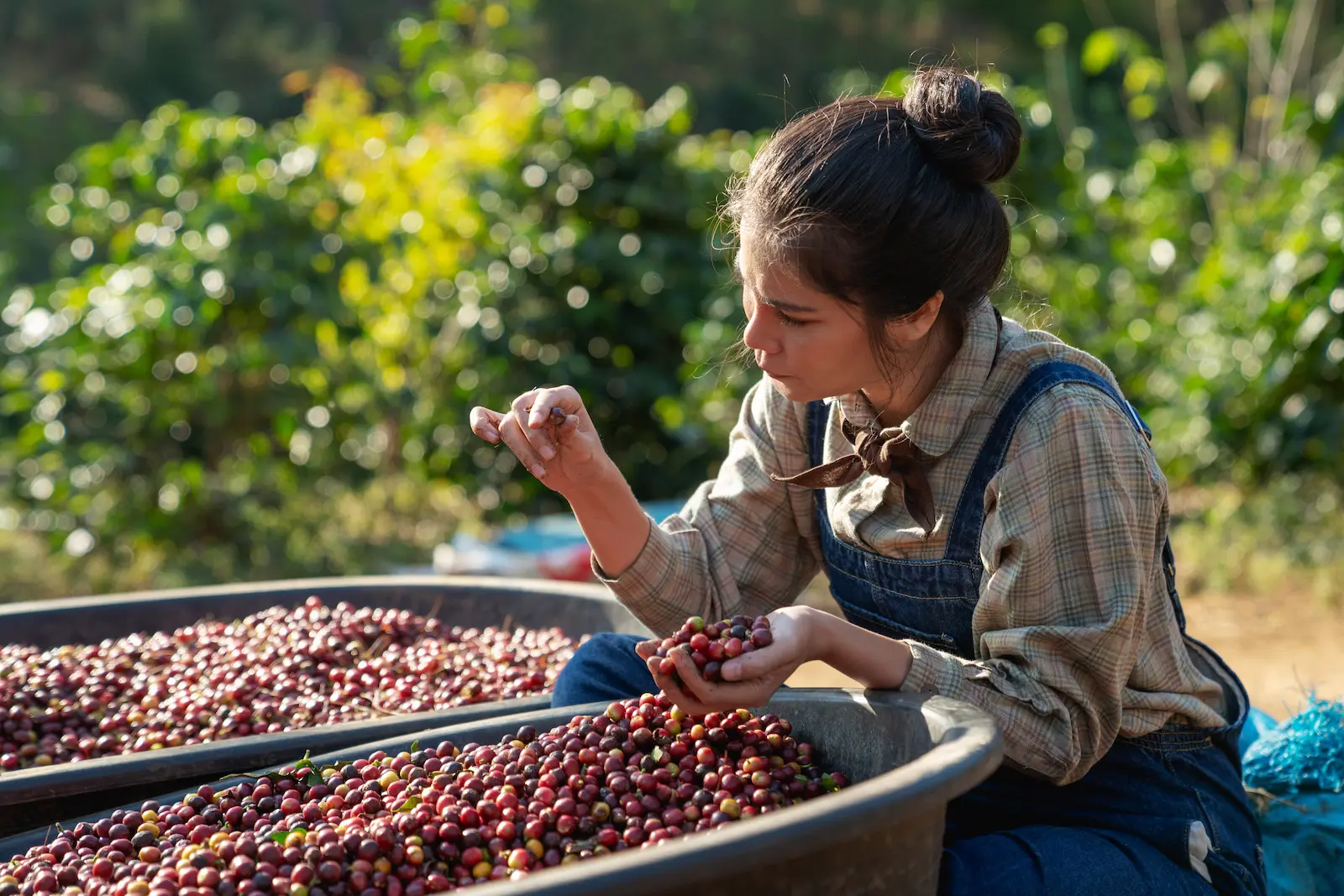 Memahami Komponen dan Jenis Biaya Bahan Baku