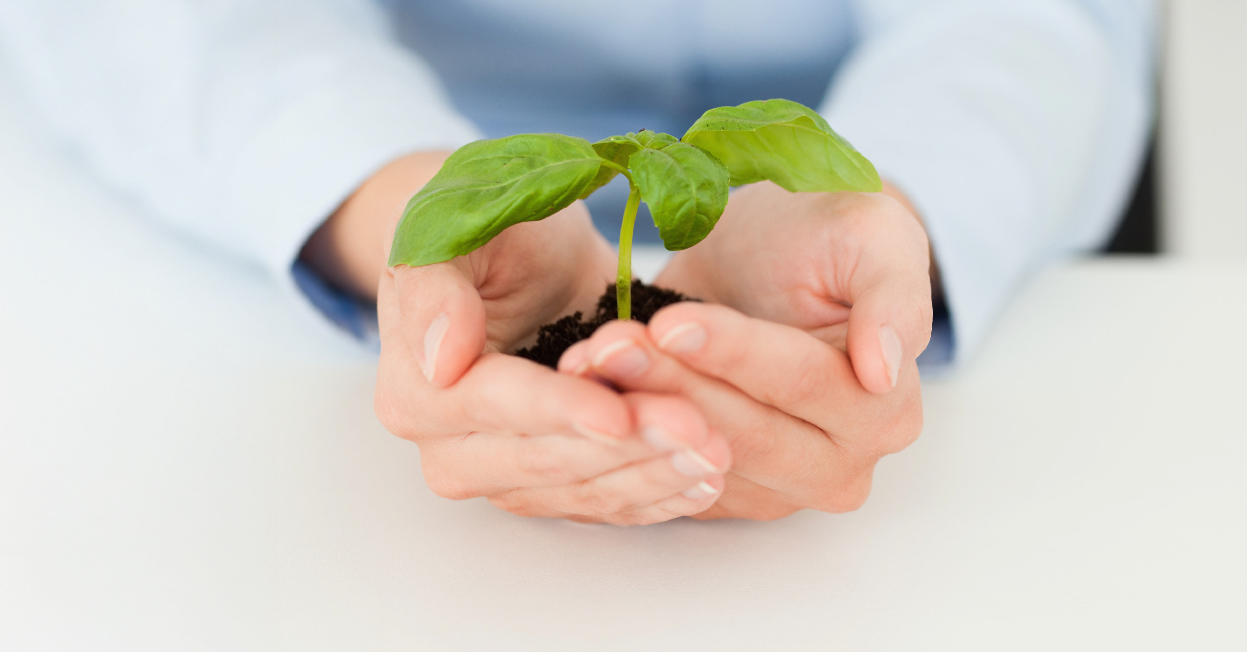 contoh sustainability