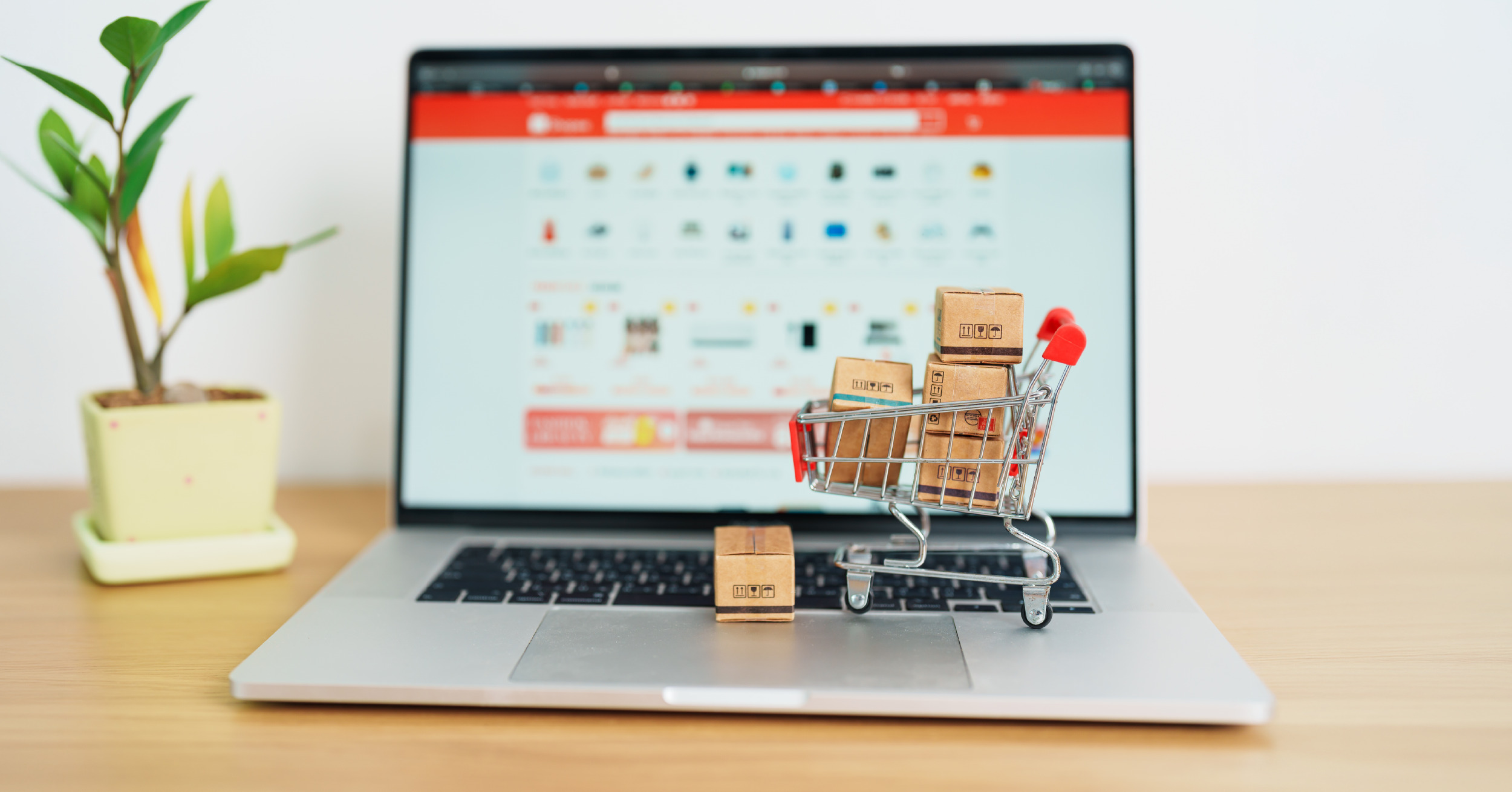 website toko online