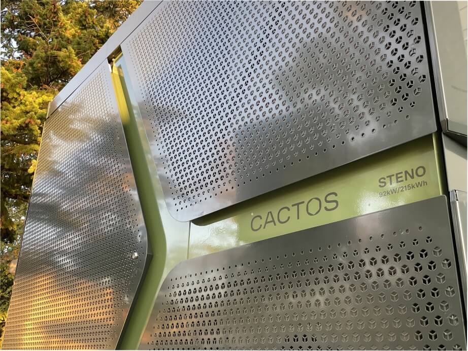 Cactos Cardo