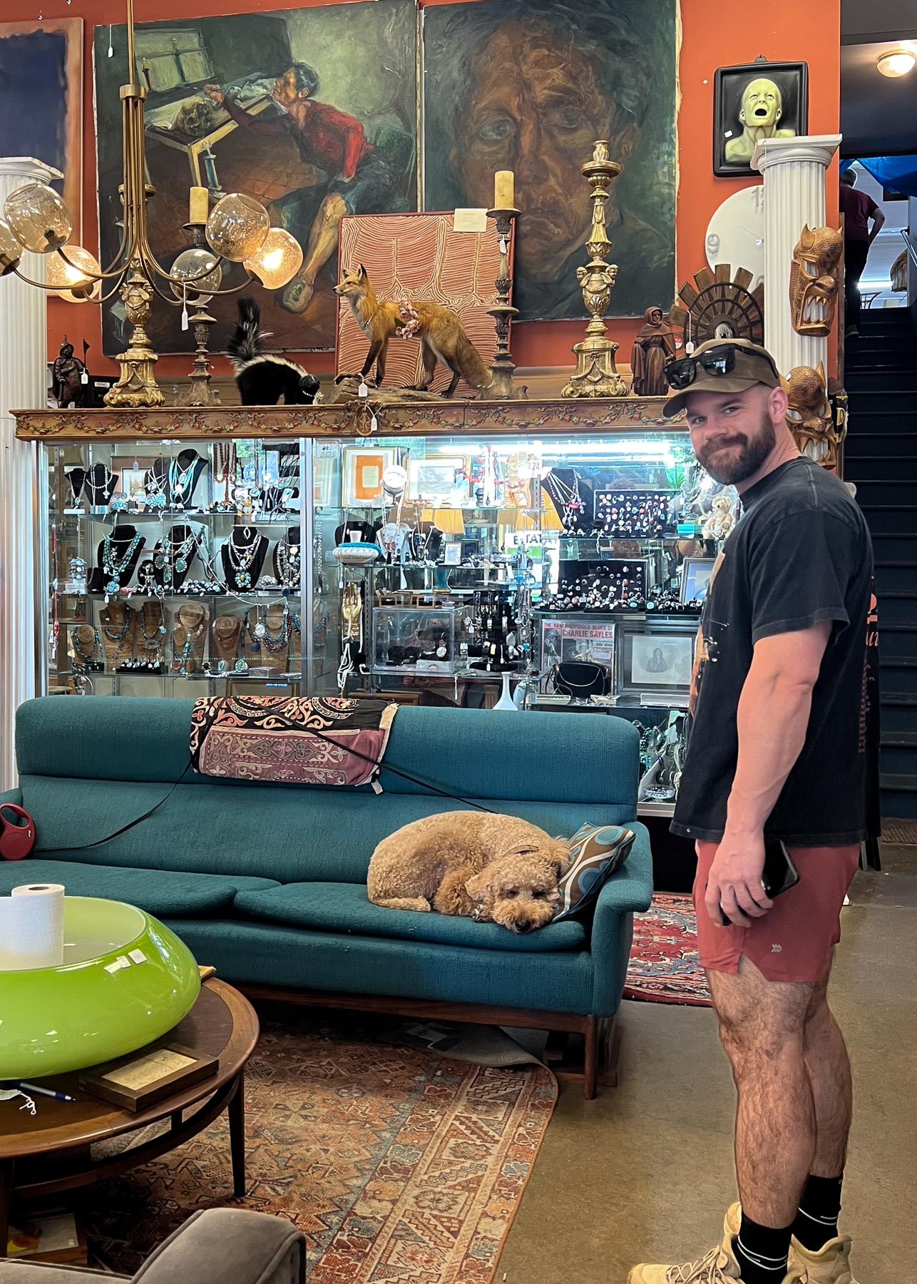 A man standing in a vintage store. There's dog laying on a blue couch.