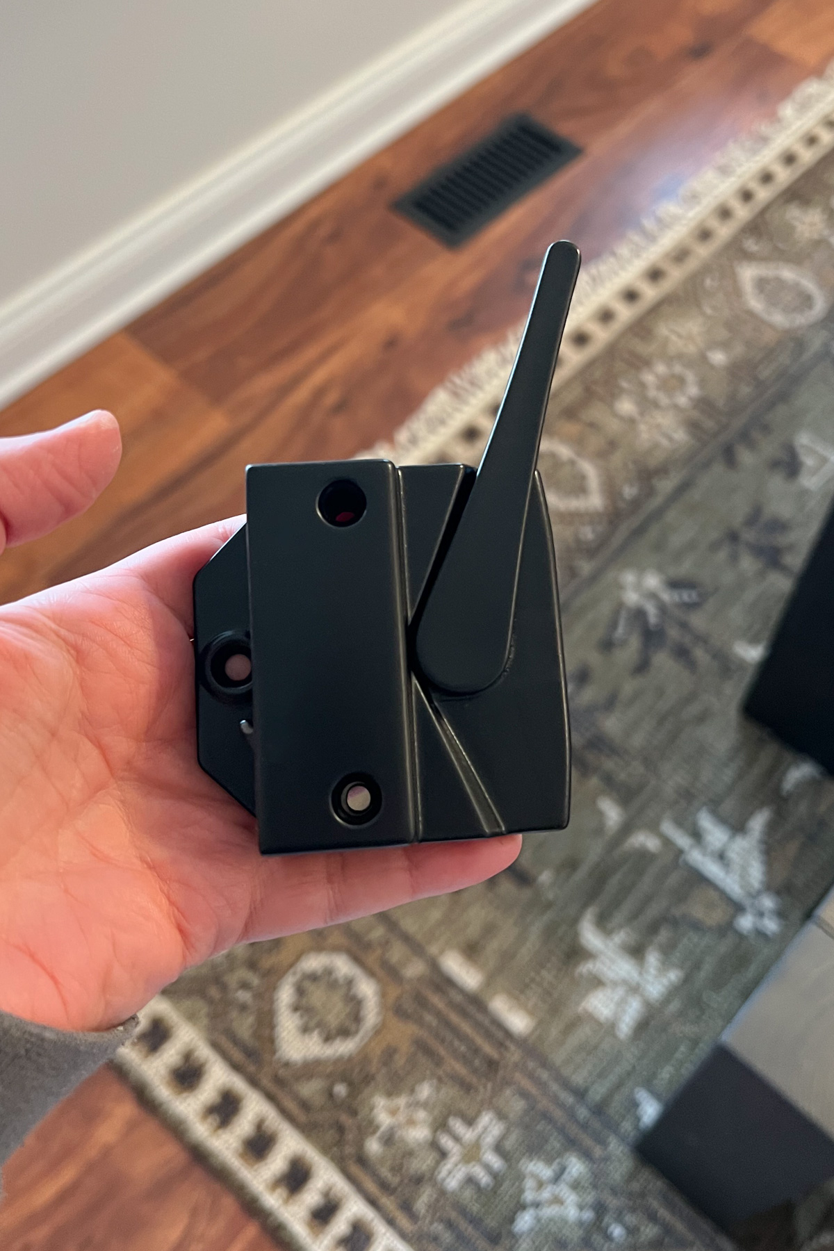 We updated our windows without spending a fortune. Instead of pricey hardware replacements, we tried spray paint to save money and extend their lifespan.