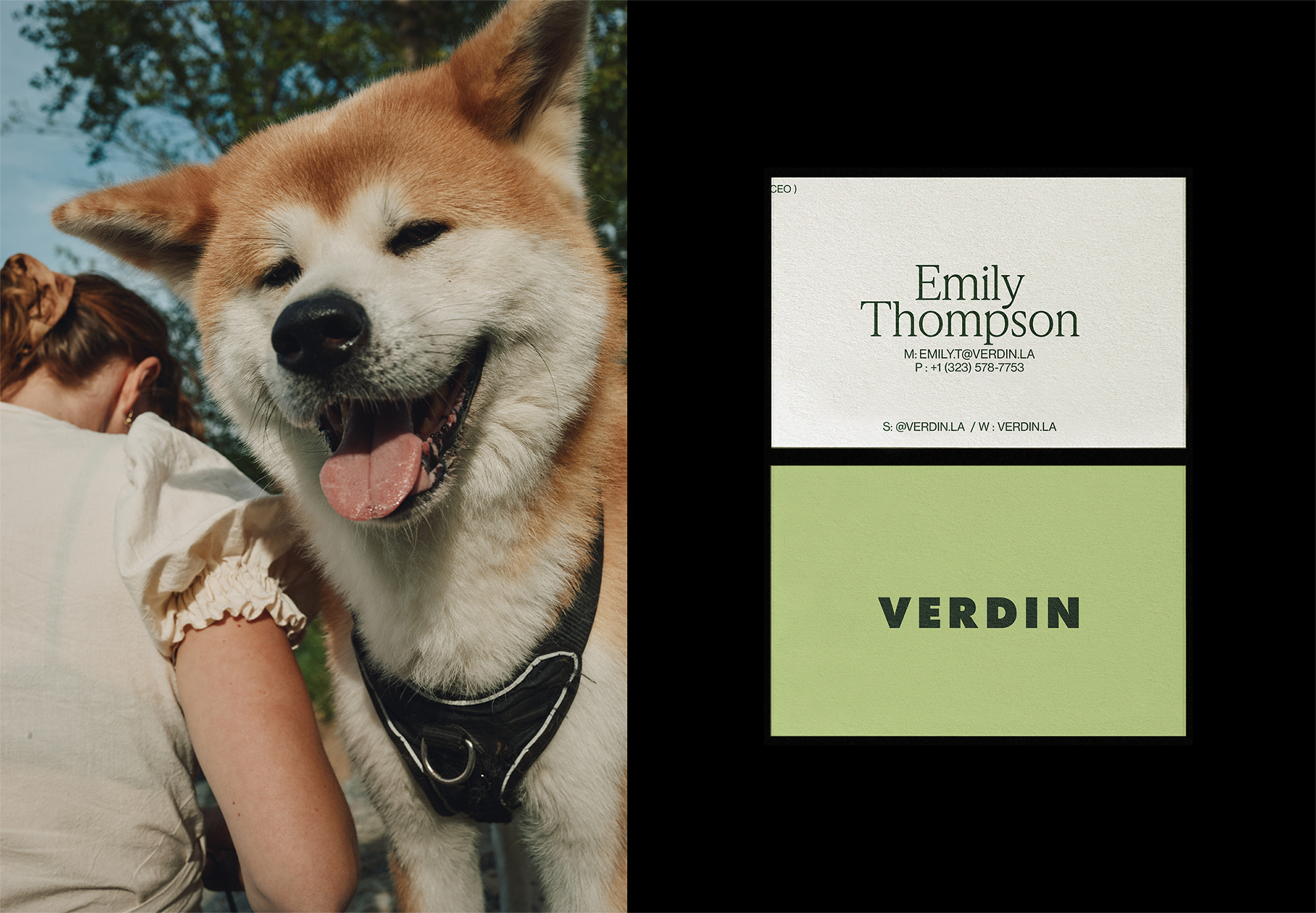 VERDIN