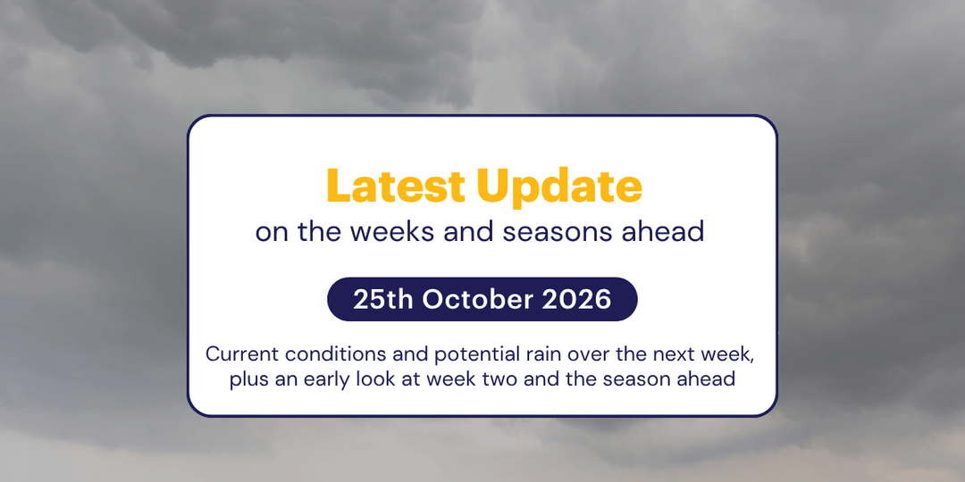 The Weekly Update: 25th October 2026
