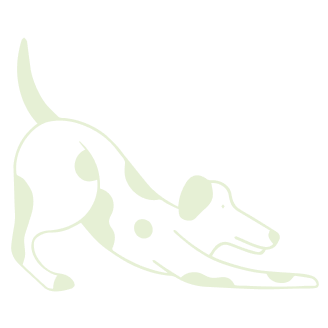 Vector of a dog