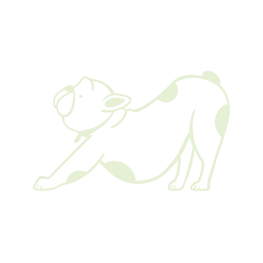 Vector of a dog