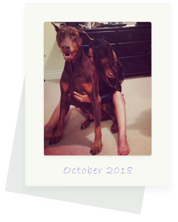 A human + his/her dog