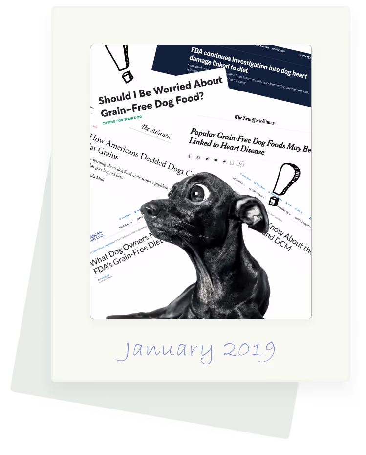 A human + his/her dog