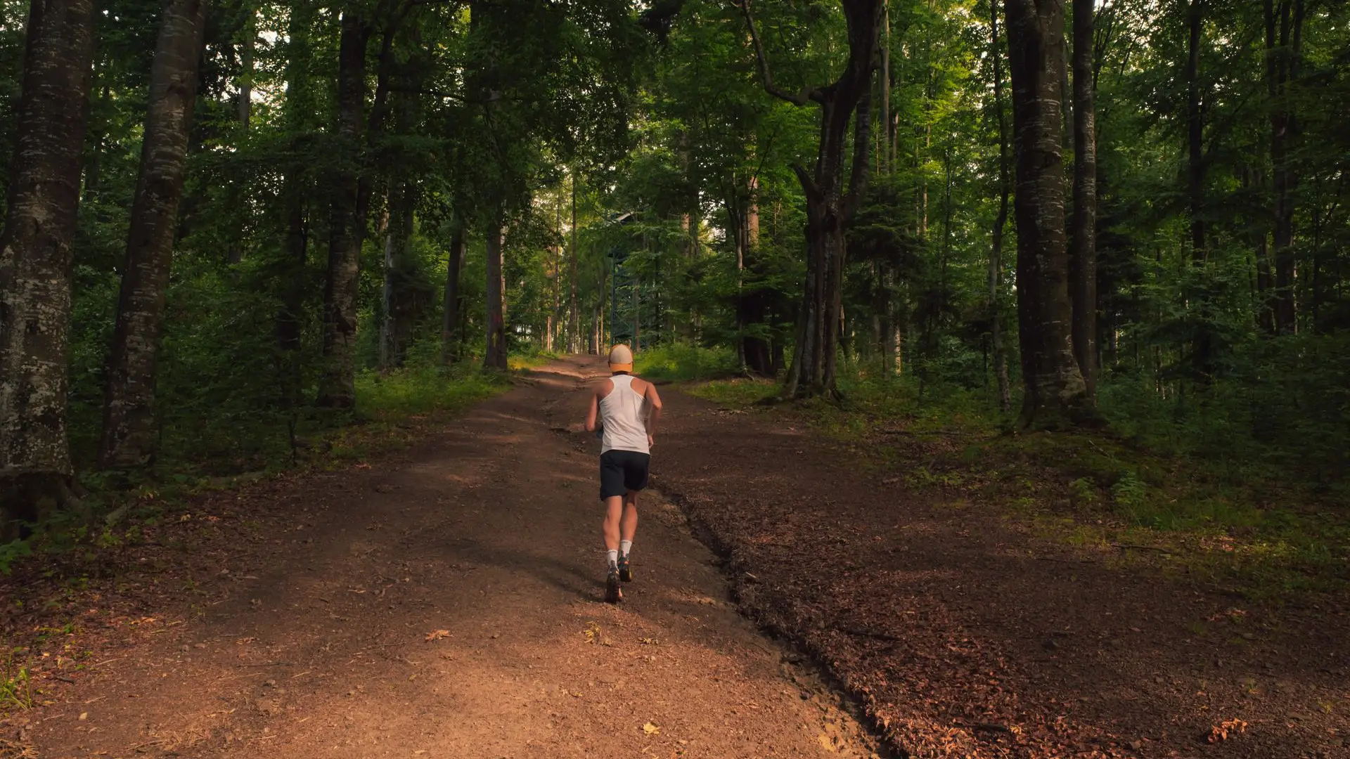Blog Header Image