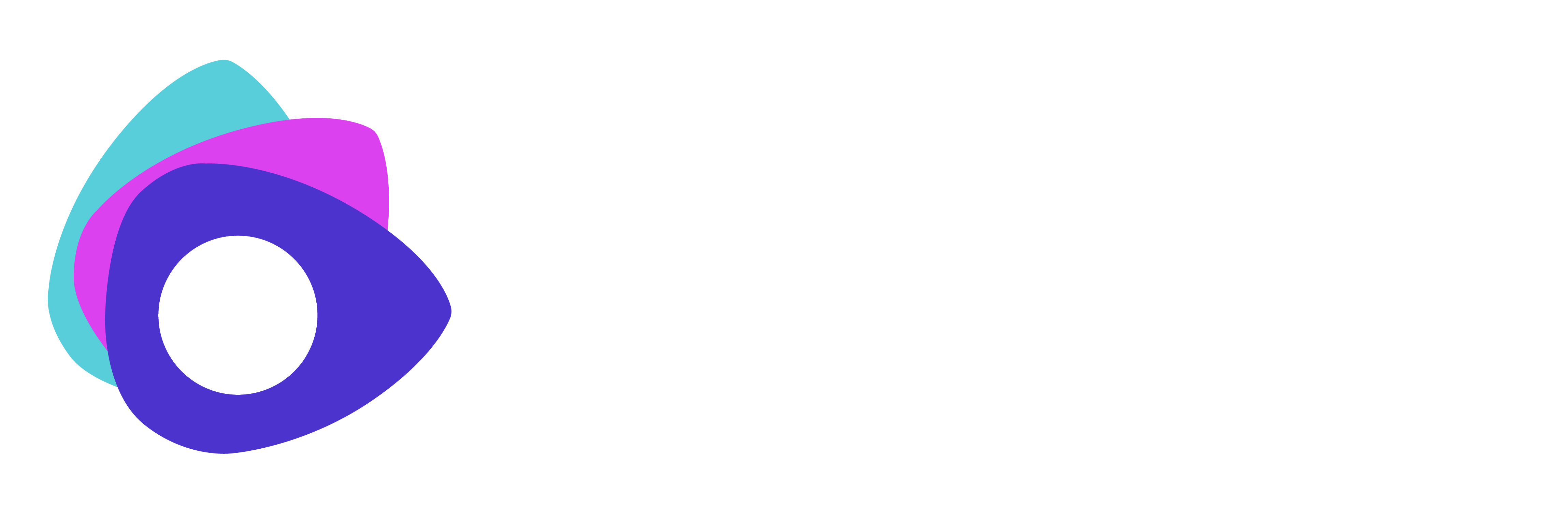 Pivto Logo