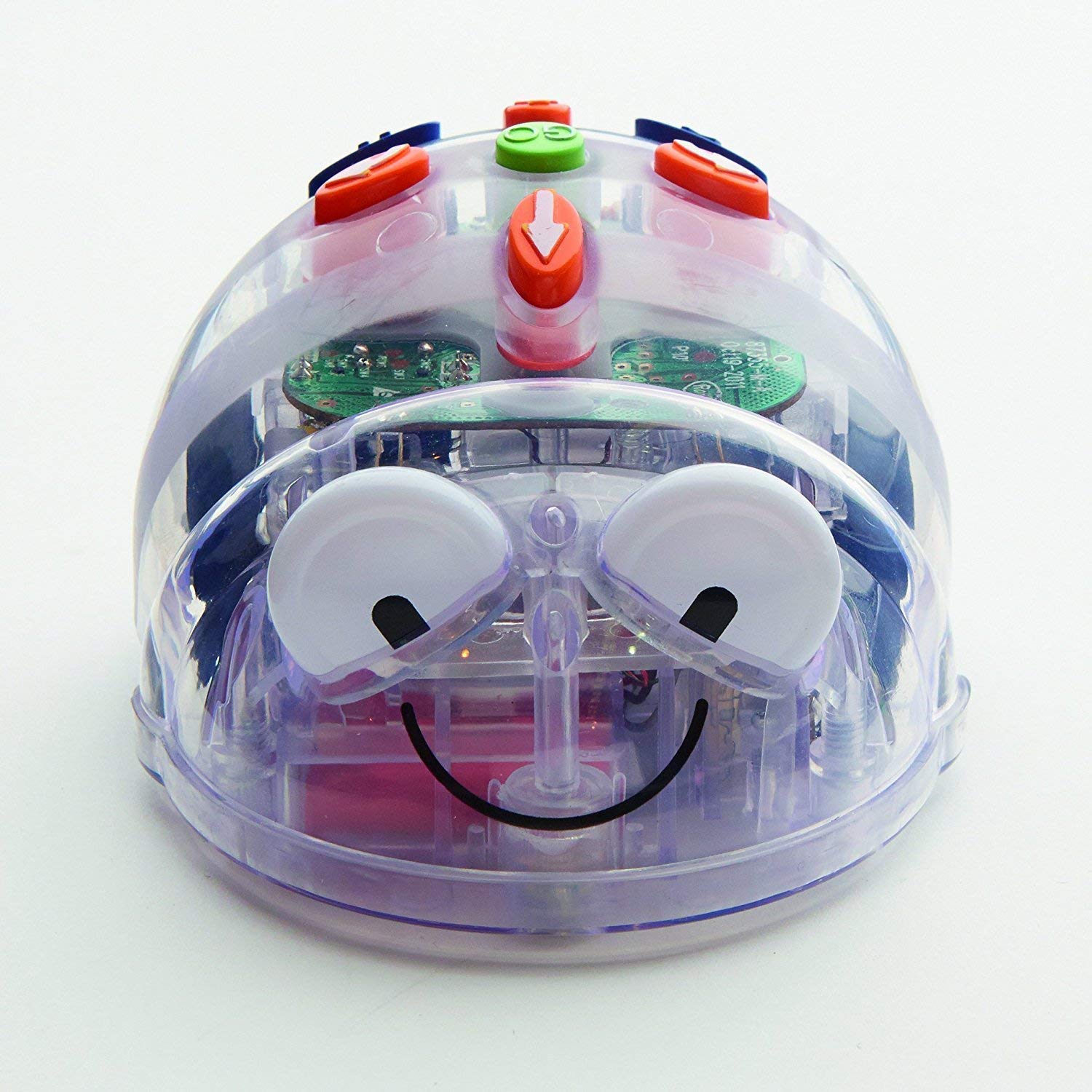 Bluebot