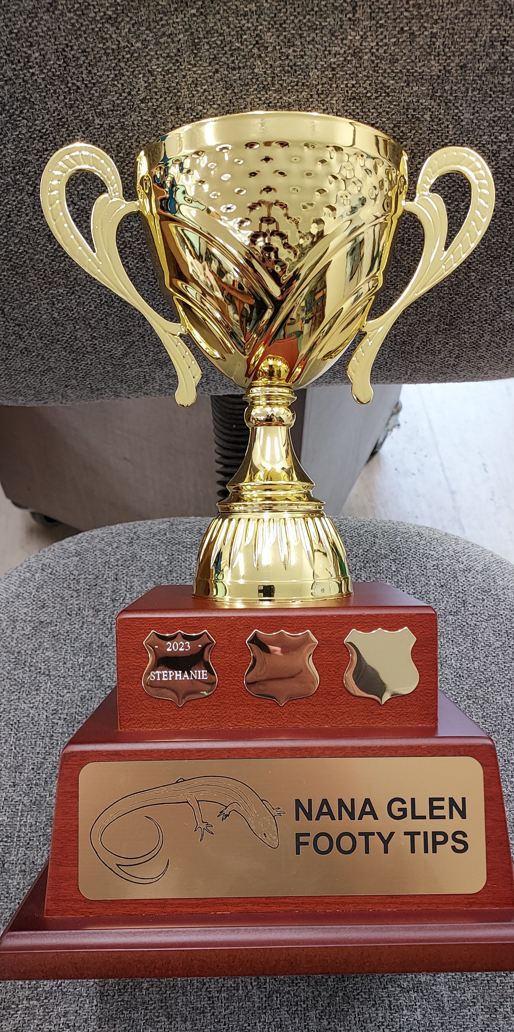 Large Cup from Greg's Trophies Coffs Harbour
