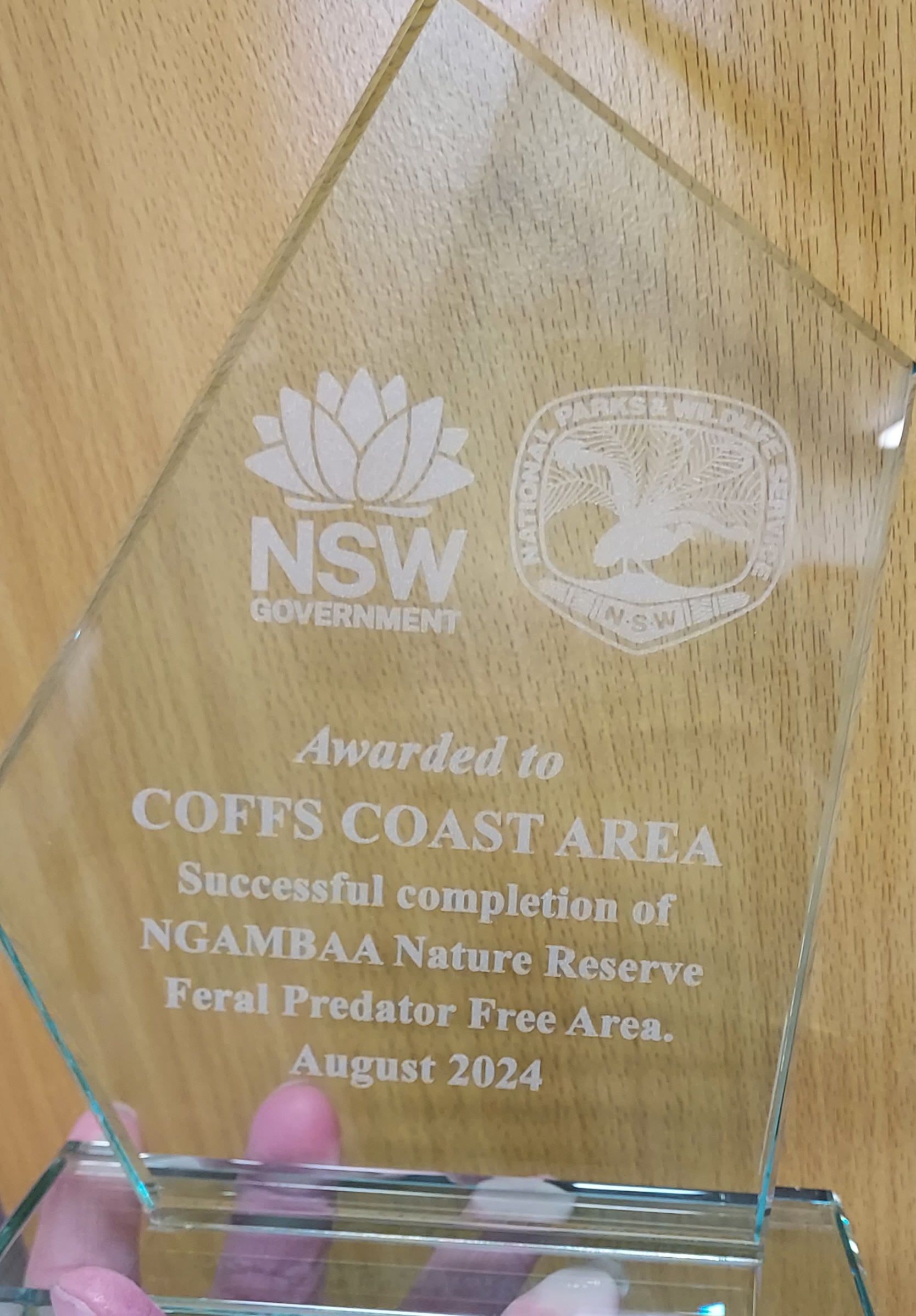 Etched Glass Award from Coffs Harbour by Greg's Trophies 