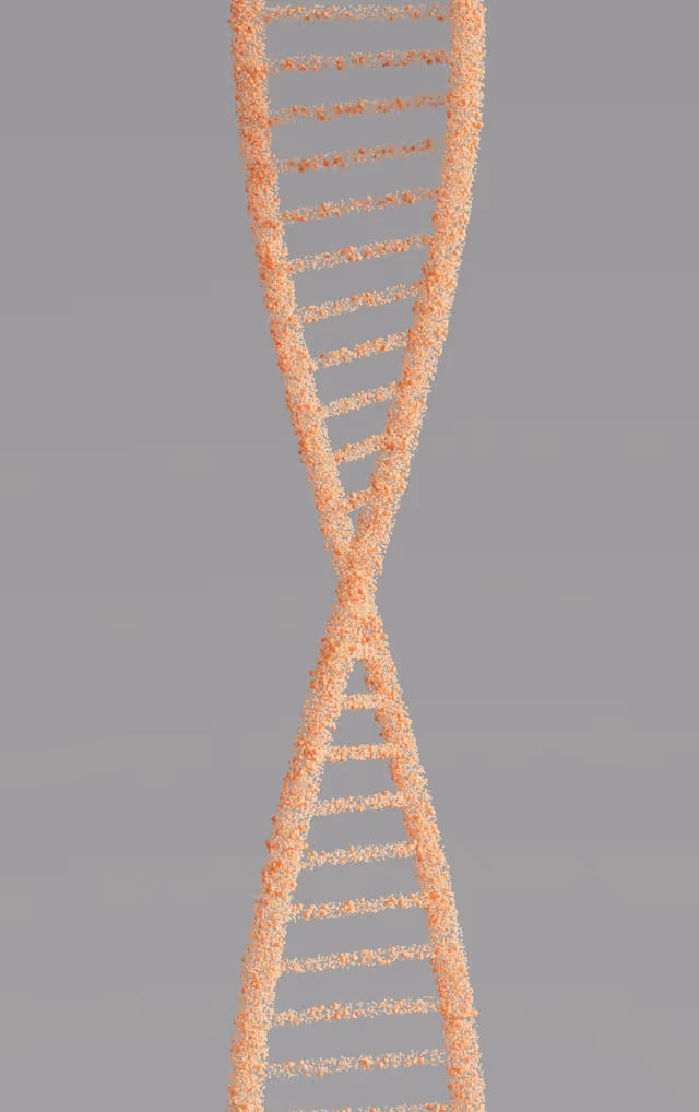 Anti-Aging & Longevity