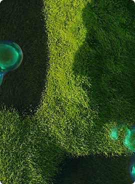 Nutrition & Weight Management