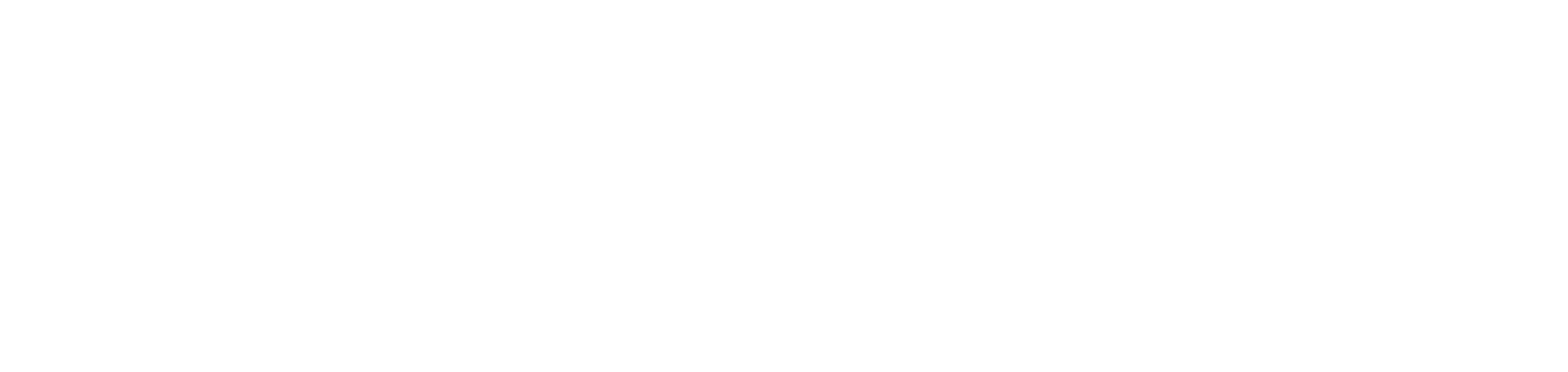 verstela logo
