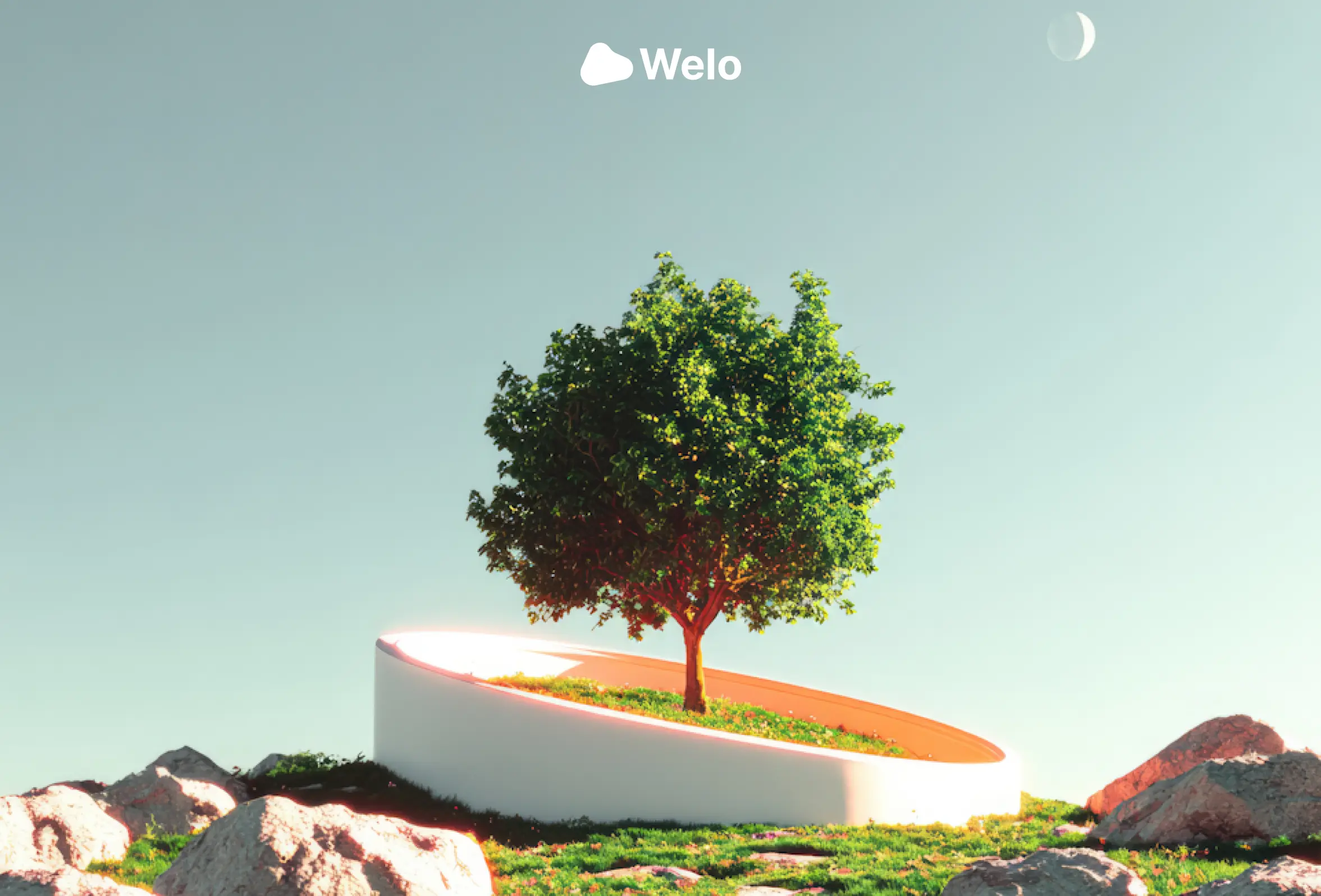 Website Trust Checker: Welo's free tool that changes the rules of the game Description