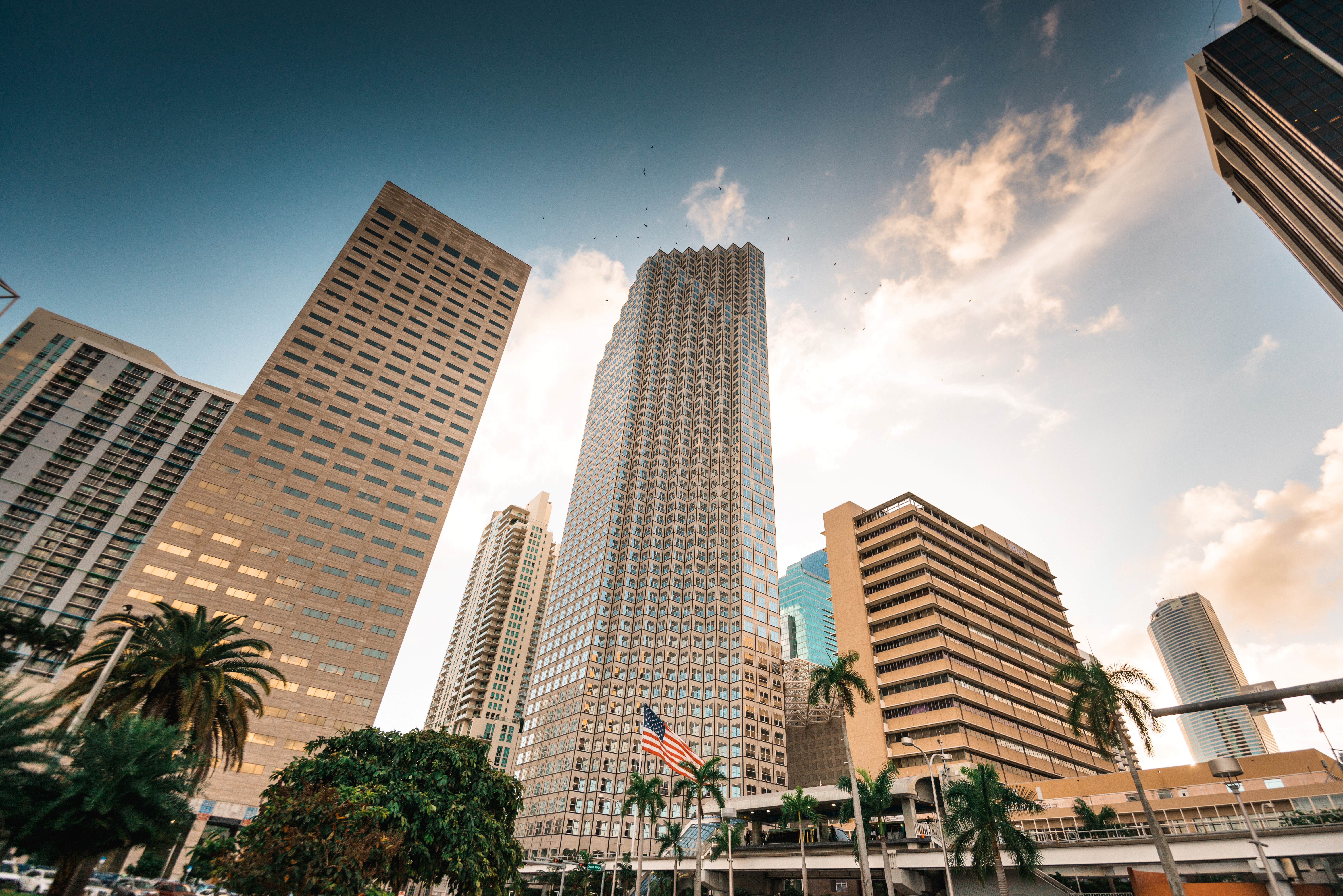 SSA Marine Opens New Miami Office, Deepening Investment in South Florida