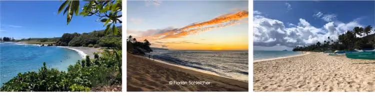 Three scenic beach photos: tropical, sunset, and sunny coastlines.