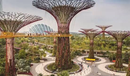 Supertree Grove in Singapore with people walking on elevated bridges.