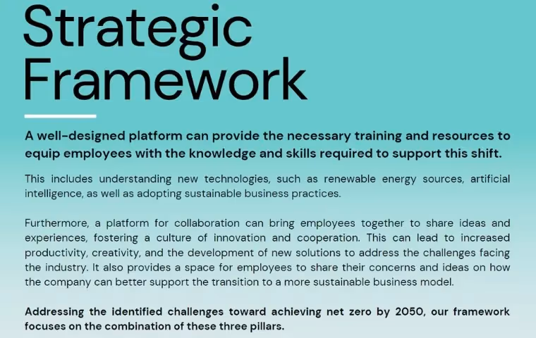 Strategic Framework text explaining a platform for sustainable business transformation.