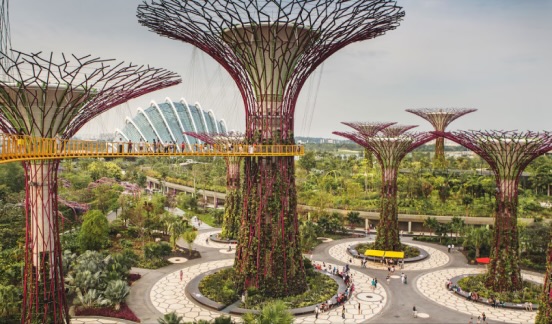Supertree Grove in Singapur mit Menschen, die auf erhöhten Brücken spazieren.