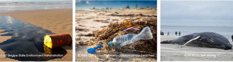 Ölpest, Plastikmüll und gestrandeter Wal heben die Verschmutzung der Meere hervor.