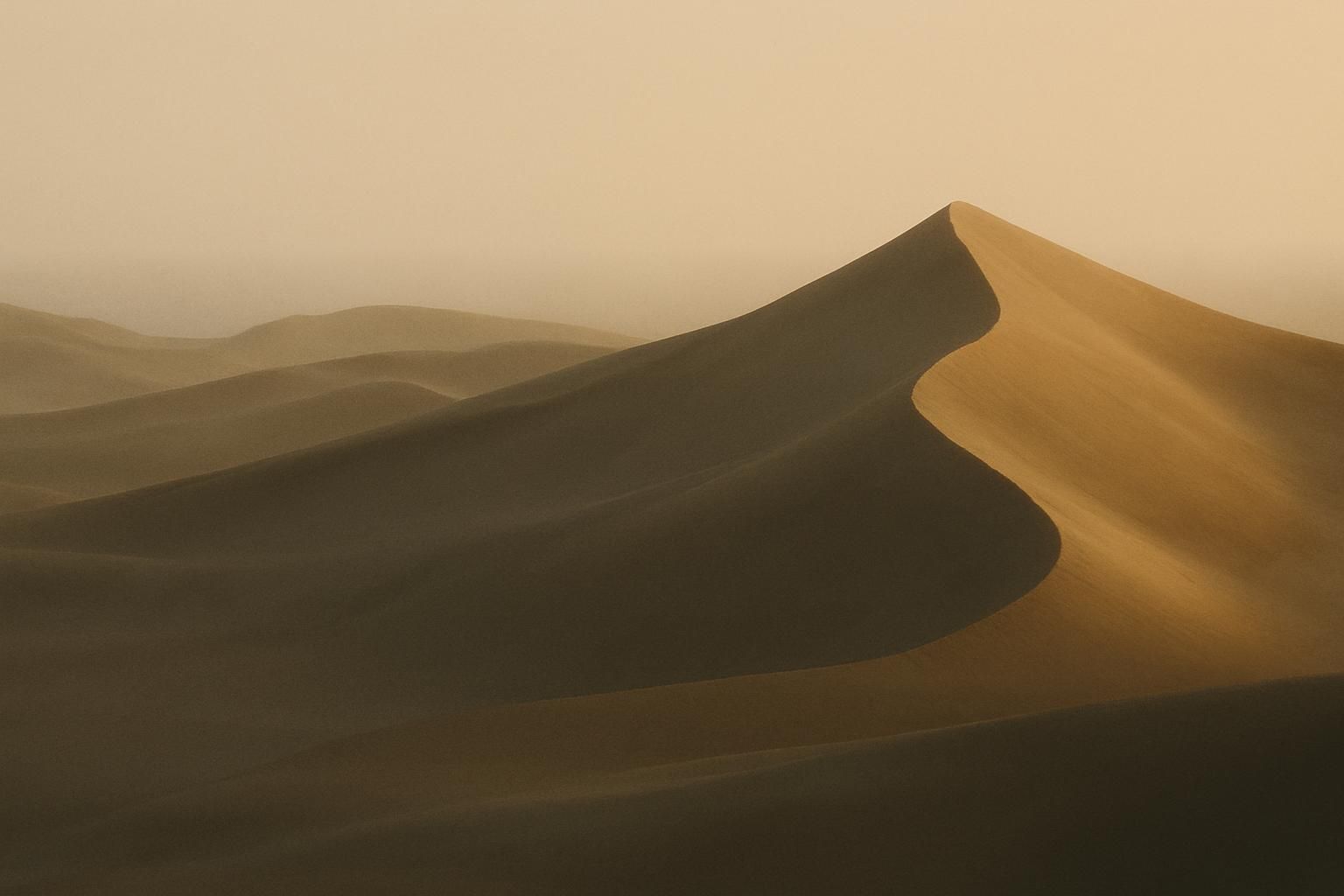 How to Build Sustainability and ESG Leadership Skills