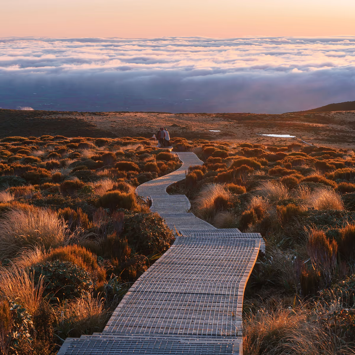 A winding wooden boardwalk cuts through golden grasses and alpine vegetation, leading toward a couple seated at the edge of a mountain plateau above the clouds during a serene sunset.