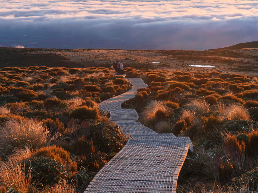 A winding wooden boardwalk cuts through golden grasses and alpine vegetation, leading toward a couple seated at the edge of a mountain plateau above the clouds during a serene sunset.